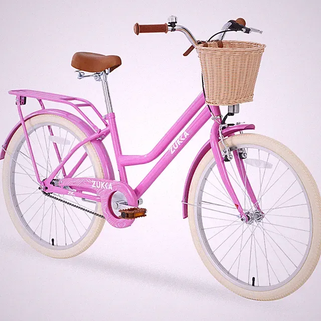 Multiple Colors 24 inch wheel Steel Frame Girls Bike for 10+Years Old Girls